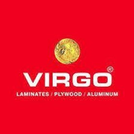 Company Logo For Virgo Group'