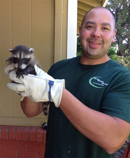 Company Photo For Thomas Wildlife Control'
