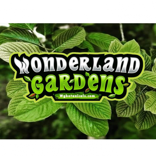 Company Logo For Wonderland Gardens'