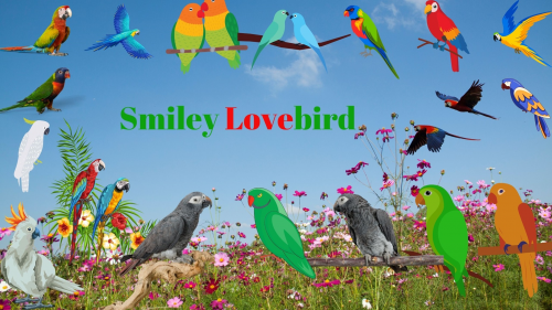 Company Logo For Smiley Lovebird'