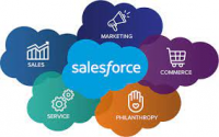 Salesforce Services Market