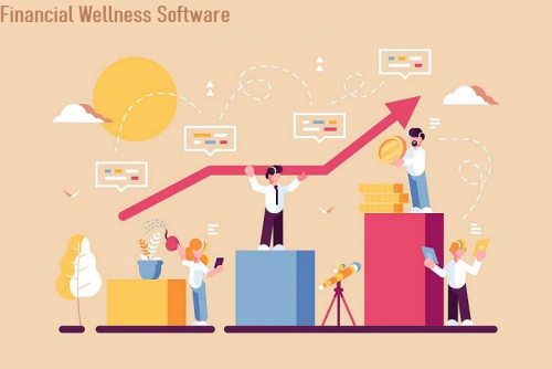 Financial Wellness Software'