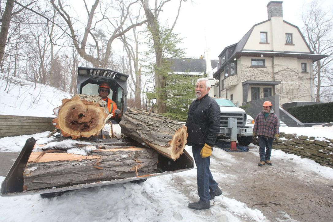 Company Logo For Al Miley Tree Removal'