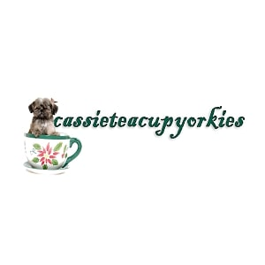 Company Logo For Cassie Teacup Yorkies'
