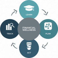 Financial Wellness Program Software