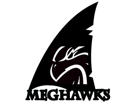 Meghawks - Best SEO Company in Delhi NCR'