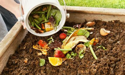 Organic Waste Recycling Market'