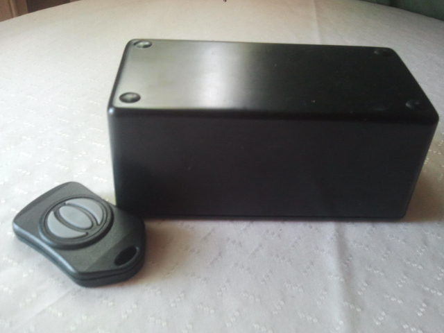 Child in Danger Car Alarm'