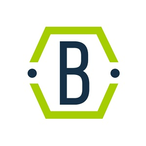 Company Logo For Beryllium InfoSec'