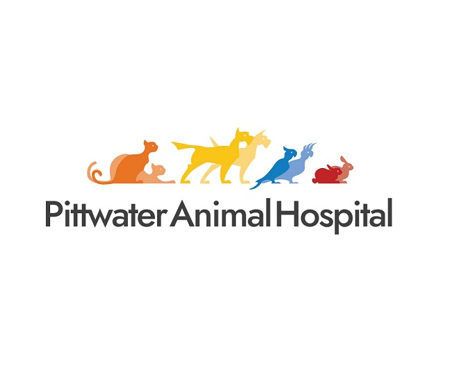 Company Logo For Pittwater Animal Hospital'