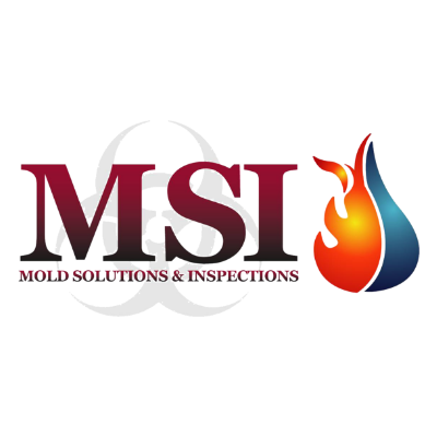 Mold Solutions &amp; Inspections, LLC Logo