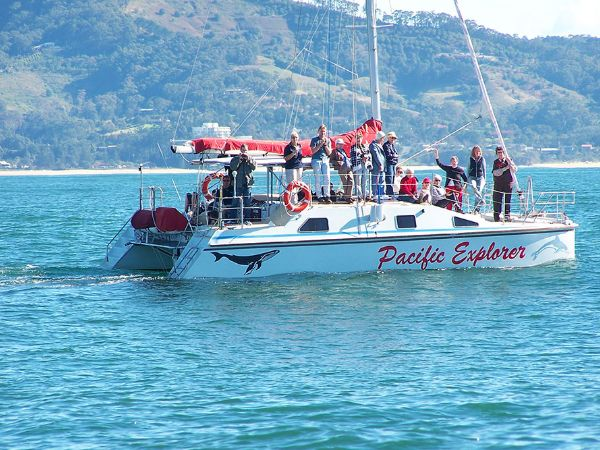 Whale Watching NSW'