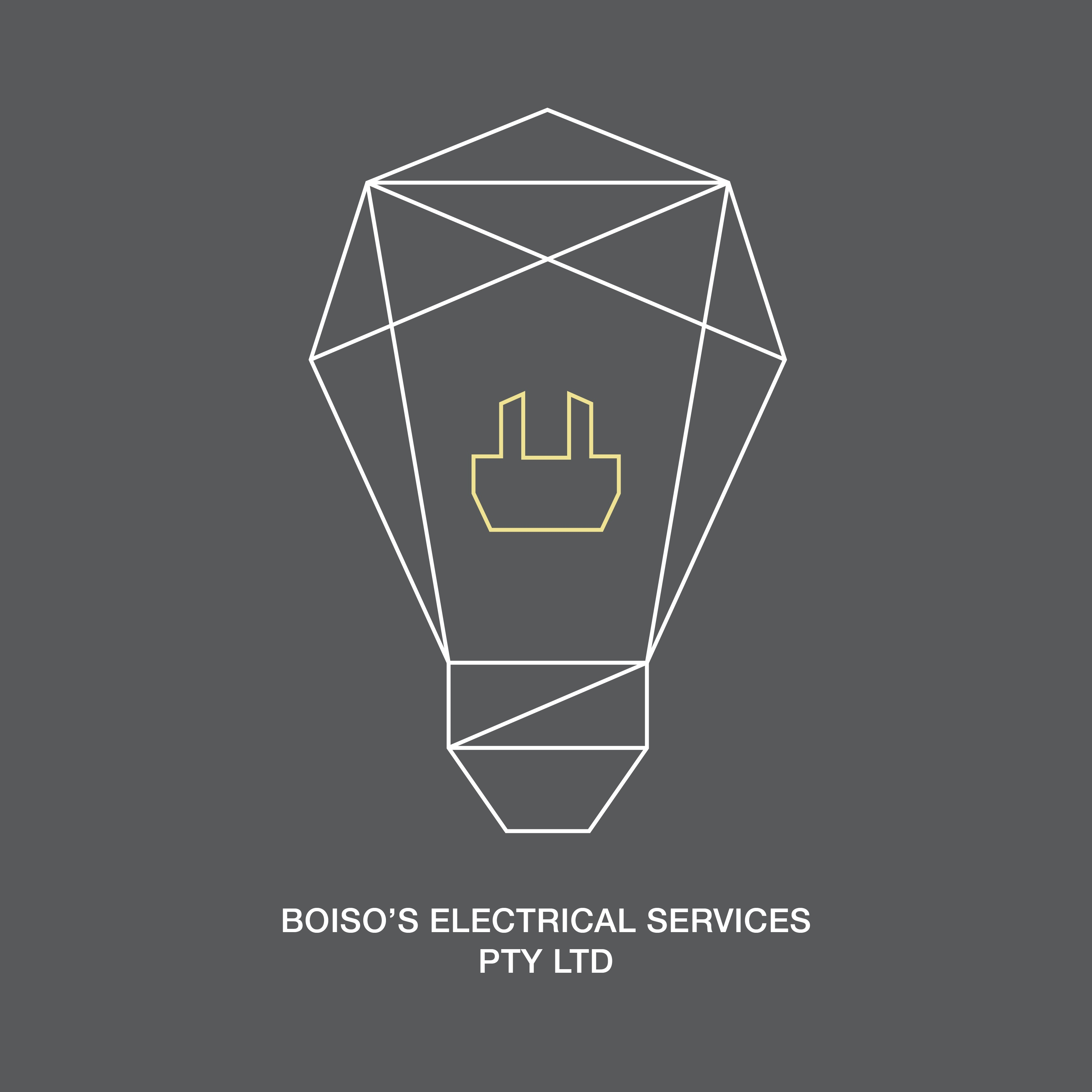 Company Logo For Boiso's Electrical Services'