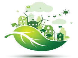 Waste To Energy (Wte) Market'