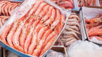 Frozen Sea Food Market