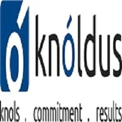 Knoldus Inc.'