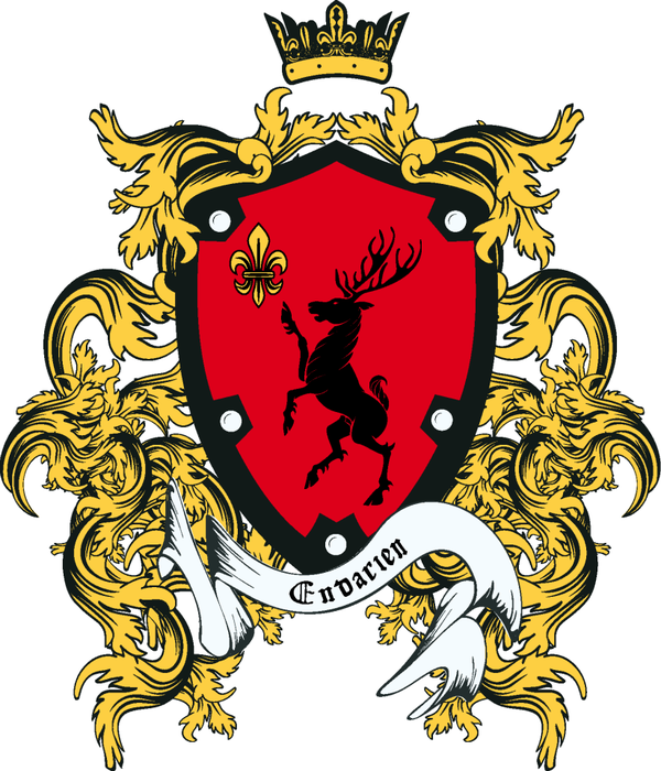 Nebelfeuer LARP Project'