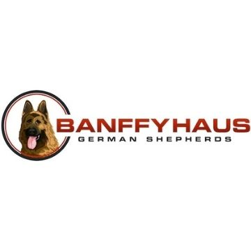 Banffyhaus German Shepherds'