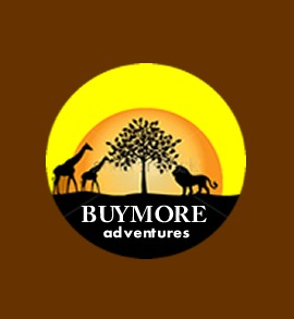 BuyMore Adventures'