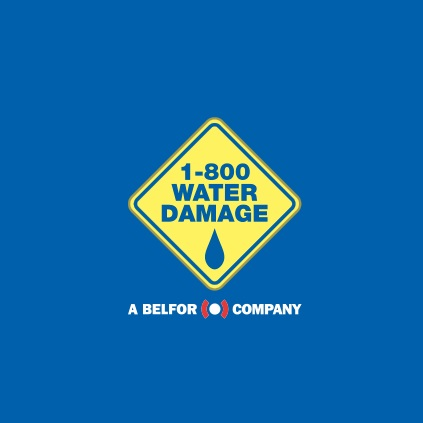 Company Logo For 1-800 WATER DAMAGE of South Side Chicago'