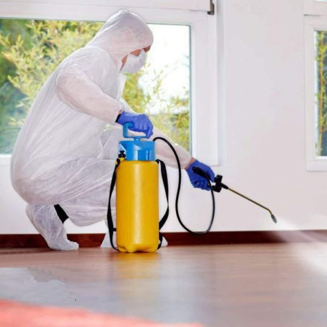 Company Logo For shree krishna pestcontrol'