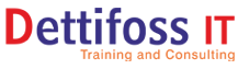 Dettifoss IT Solutions Logo
