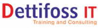 Dettifoss IT Solutions Logo