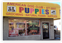American Dog Club in Albertson, NY'