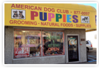 American Dog Club in Albertson, NY