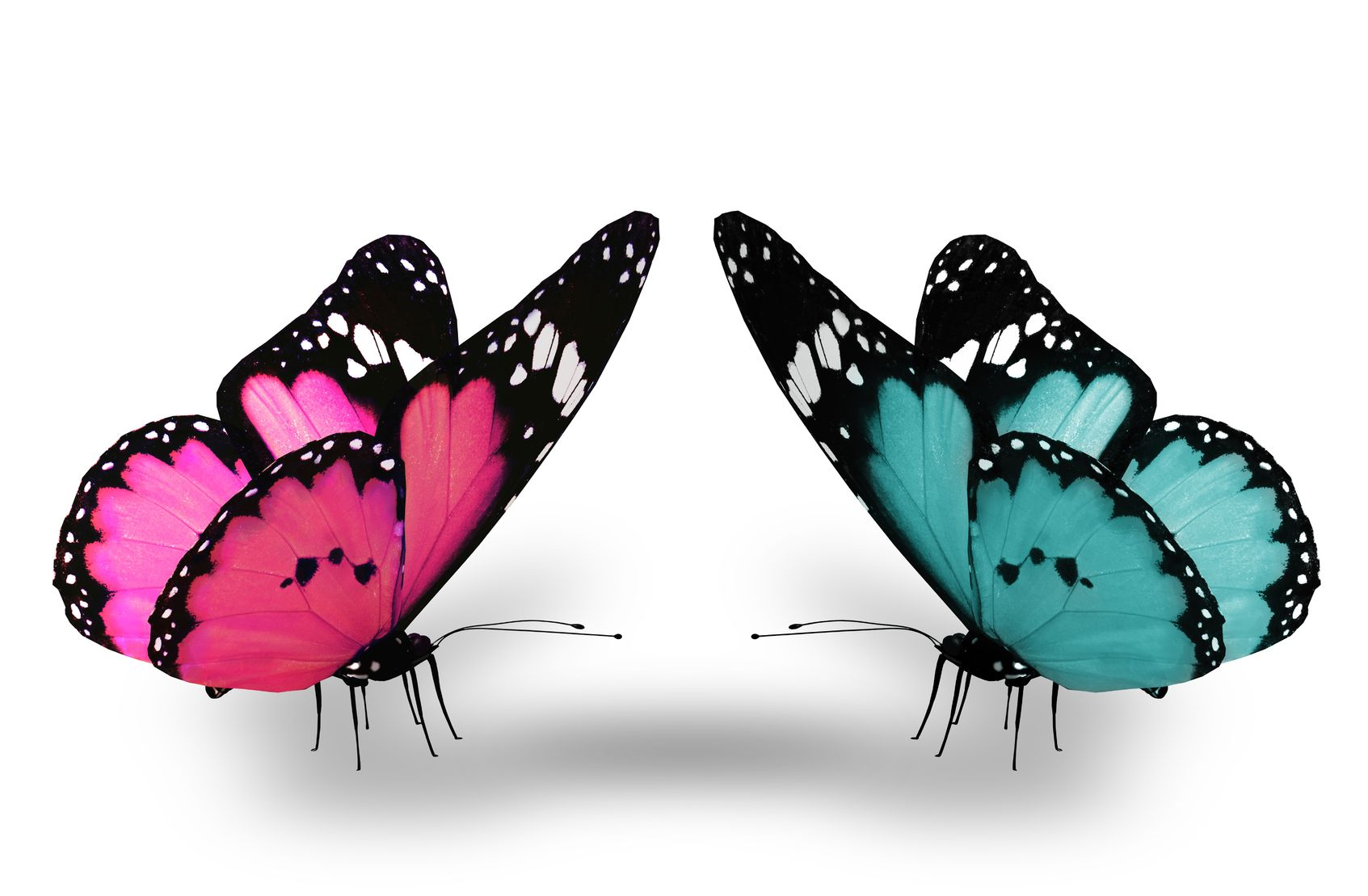 Internet Marketing to Stand Out from the Crowd'