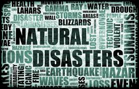 Natural Disaster Insurance Market'