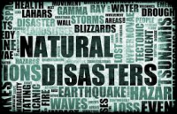 Natural Disaster Insurance Market
