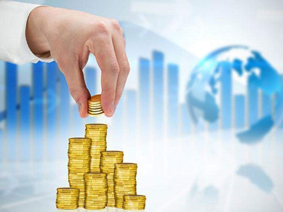 Risk Capital Investment