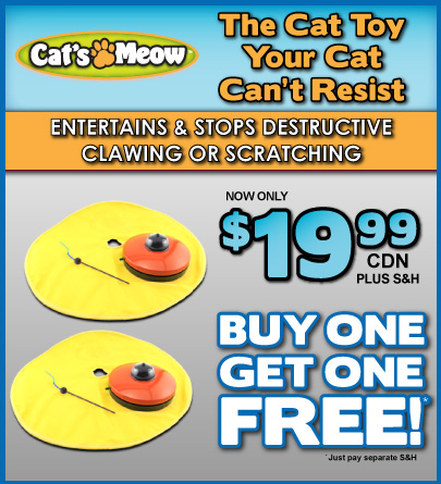 cats meow as seen on tv'