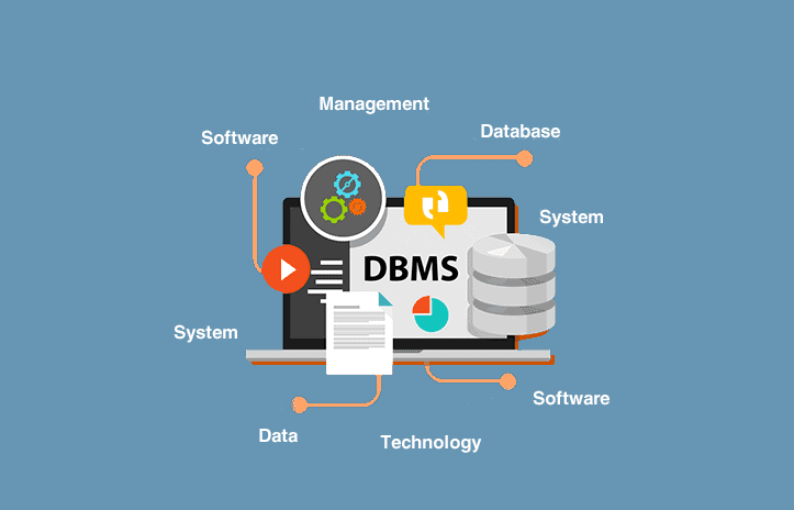 Embedded Database Management Systems