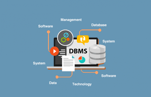 Embedded Database Management Systems'