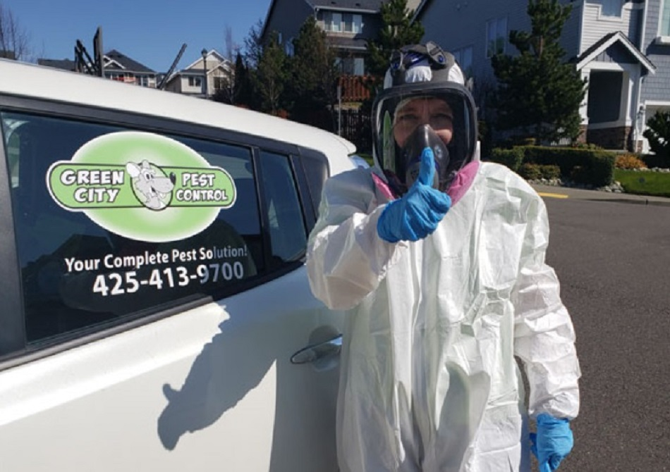 Rodent Control Maple Valley'