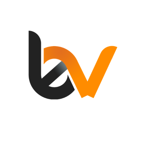 BytesView logo'