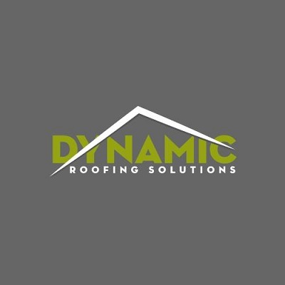 Company Logo For Dynamic Roofing Solutions'
