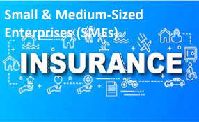 Small Medium Enterprise Insurance Market'