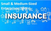 Small Medium Enterprise Insurance Market