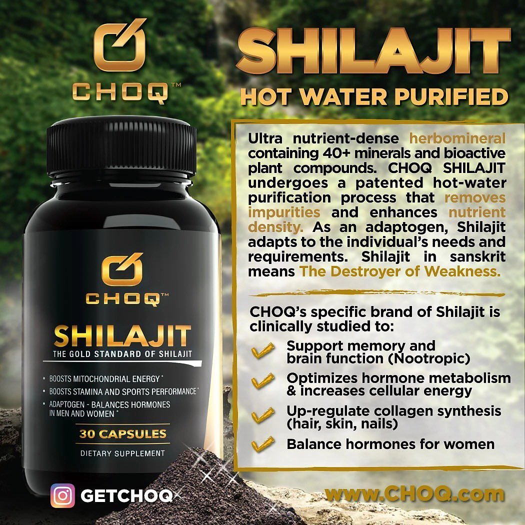 CHOQ Shilajit'