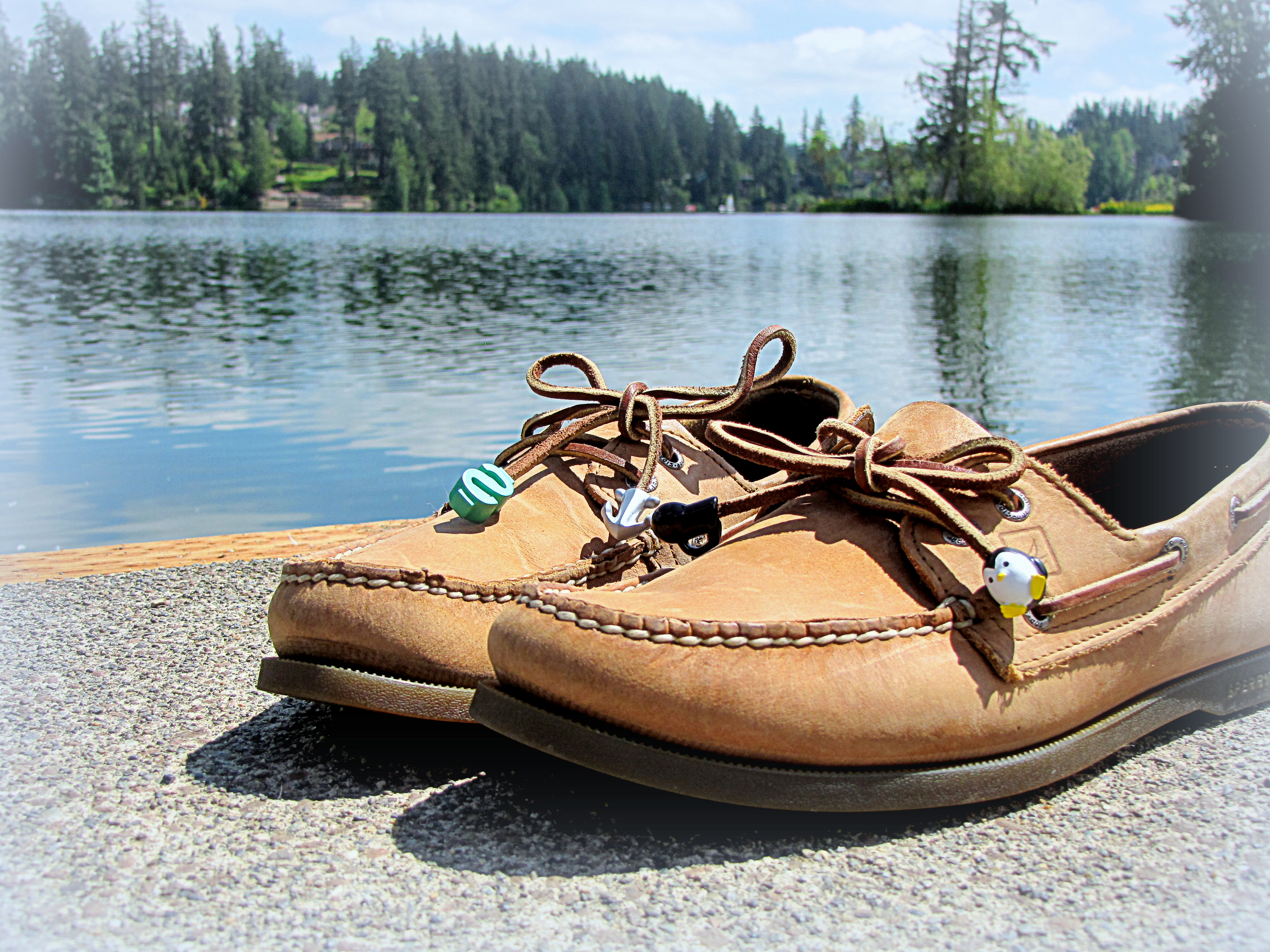 A Unique Shoelace Accessory'