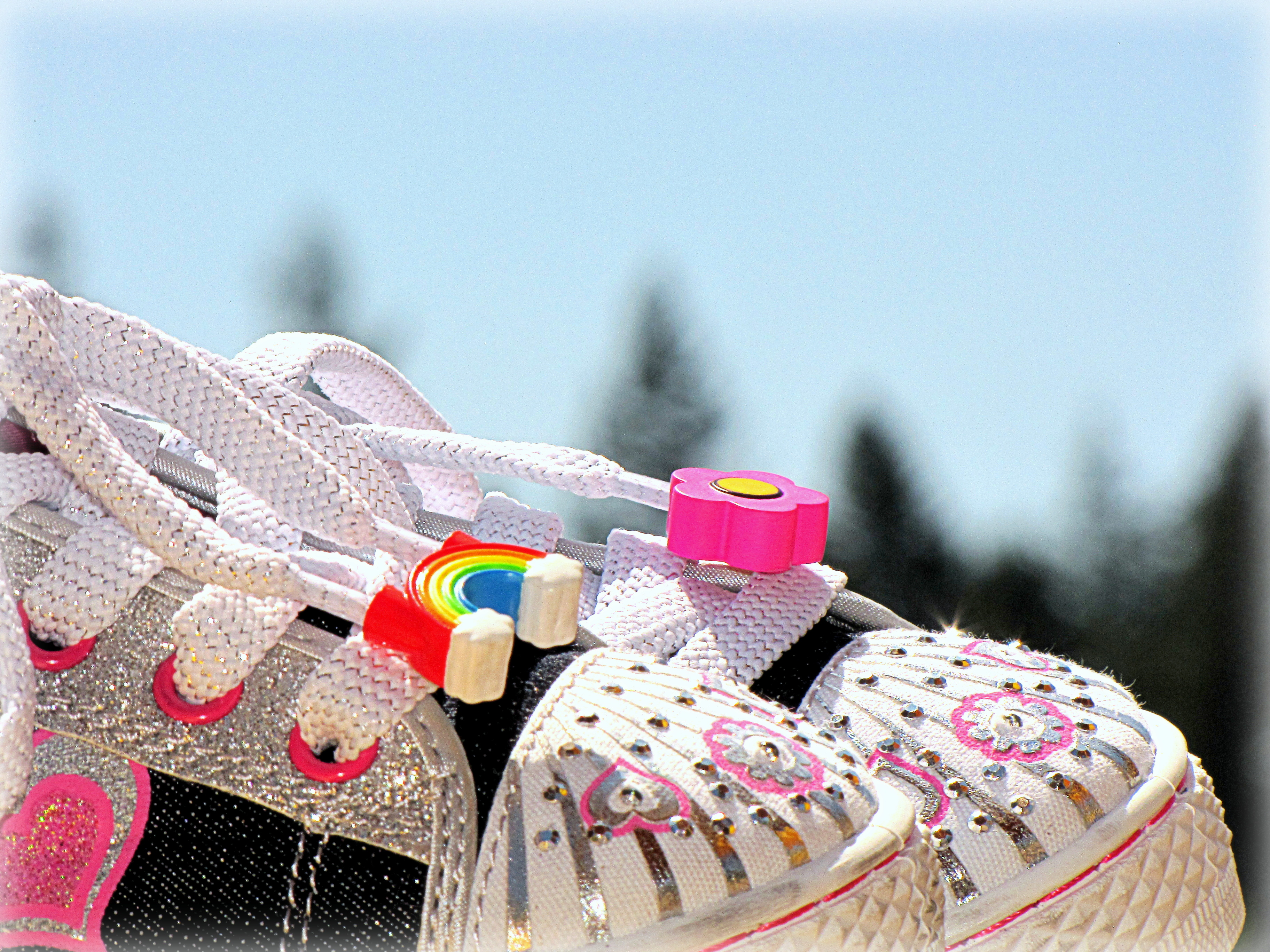 A Unique Shoelace Accessory'