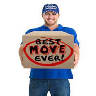 Company Logo For Pro Single Item Removals Adelaide'