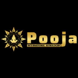 Company Logo For Pooja International Astrologer'