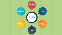 Bug Tracking Software