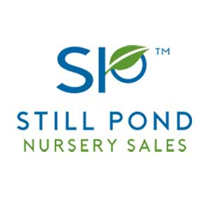 Company Logo For Still Pond Nursery Sales'
