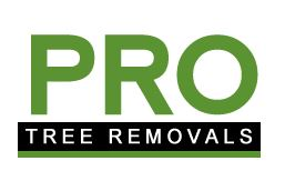 Pro Tree Removal Brisbane Logo