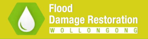 Company Logo For Wet Carpet Water Extraction Wollongong'